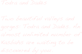 Todra and Dadès

Two beautiful valleys and gorges: Todra and Dadès. An almost unlimited number of Kasbahs are waiting to be discovered by you.
